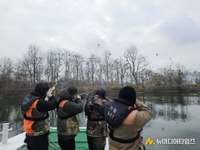 가평군, 북한강 민물가마우지 집중 포획 나선다