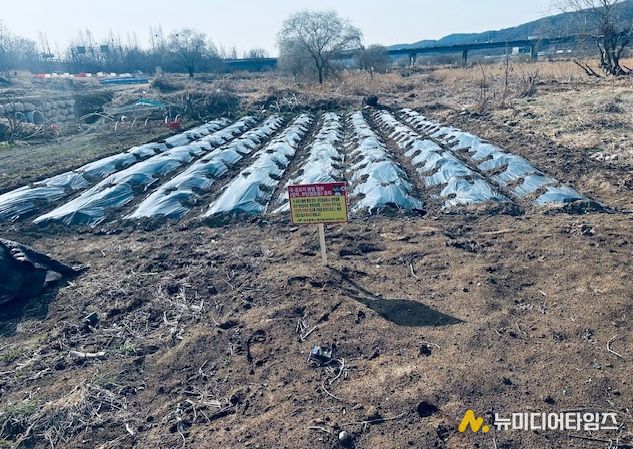 대구 북구, 금호강 불법행위 행정대집행 실시