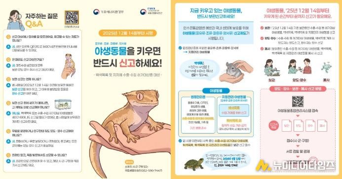 야생동물 한 마리라도 키우면 신고하세요!