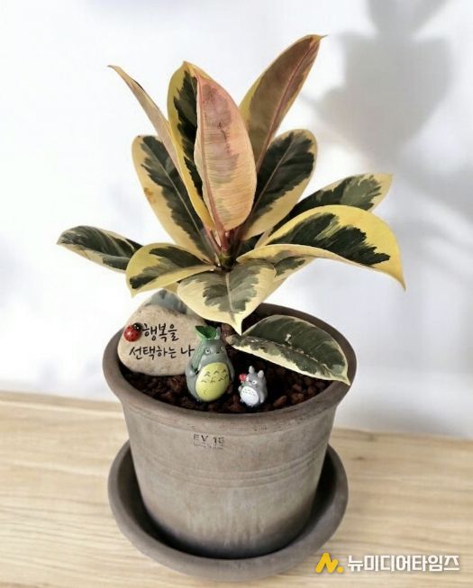 현재 성찰그룹의 완성품