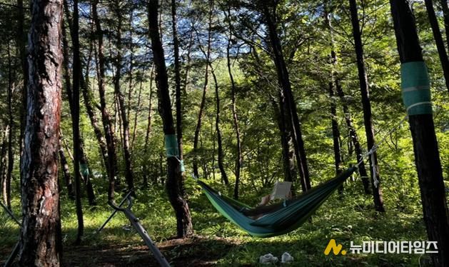 산림치유프로그램 운영 사진. 국립나주숲체원 화순치유의숲 제공