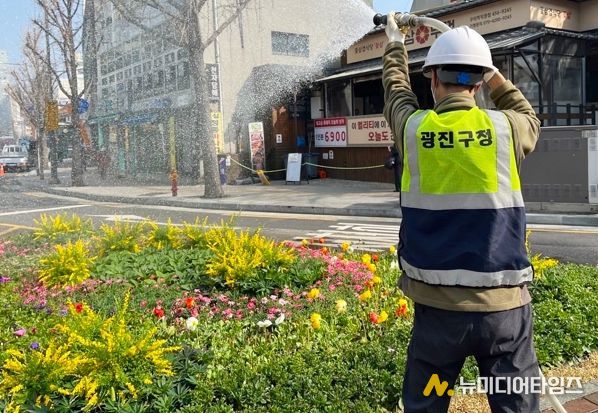 광진구, 도심 곳곳 봄꽃 길 조성… 일상에 여유와 행복 더하는 걷기 좋은 거리 만든다