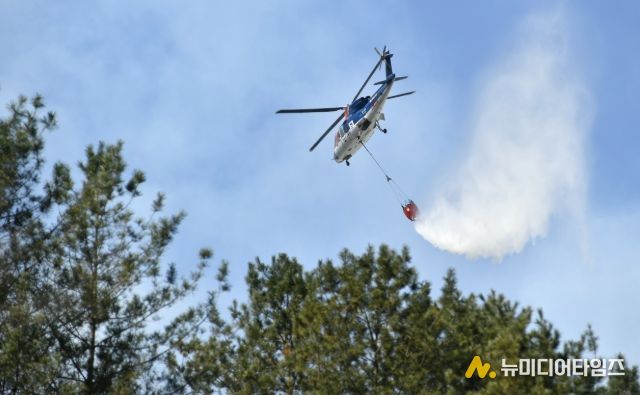 지난 2023년 3월, 화천군청 공무원들이 화천읍 중리 일대에서 발생한 산불 진화를 위해 현장에 투입되고 있다.