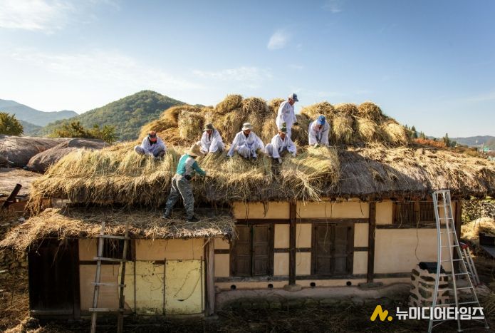 초가이엉 잇기 모습