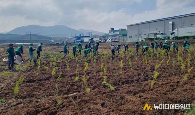 예산읍 궁평리 소나무 식재 활동