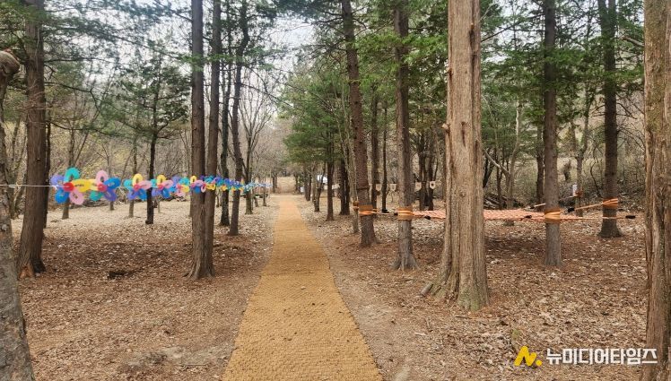충북도, 자연학습원 ‘숲생태정원’ 본격 개방