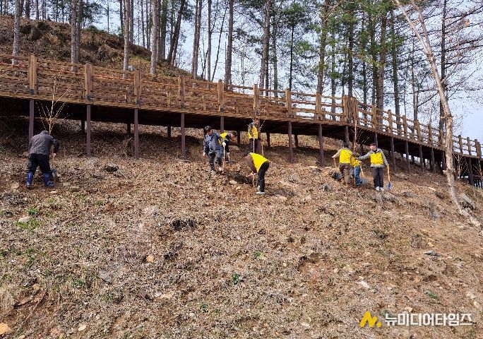 평창군시설관리공단, 제81회 식목일 기념나무심기 행사