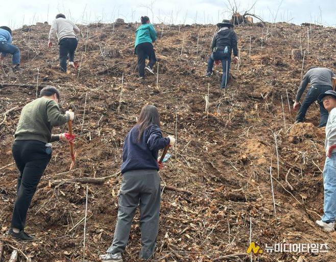 영동군, 제81회 식목일 나무 심기 행사