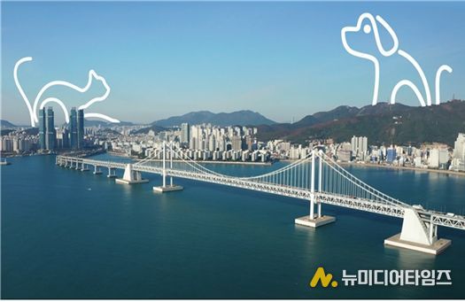 캠페인 홍보 스틸컷