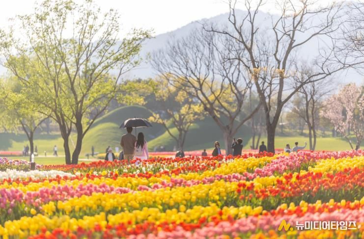 형형색색의 튤립이 물결치는 순천만국가정원 노을정원