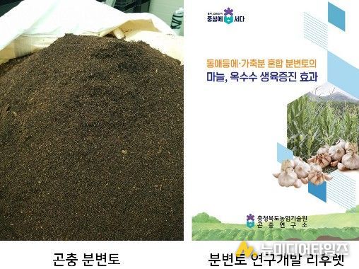 충북농기원, 검증 기술로 곤충 농가 경영비 부담 완화
