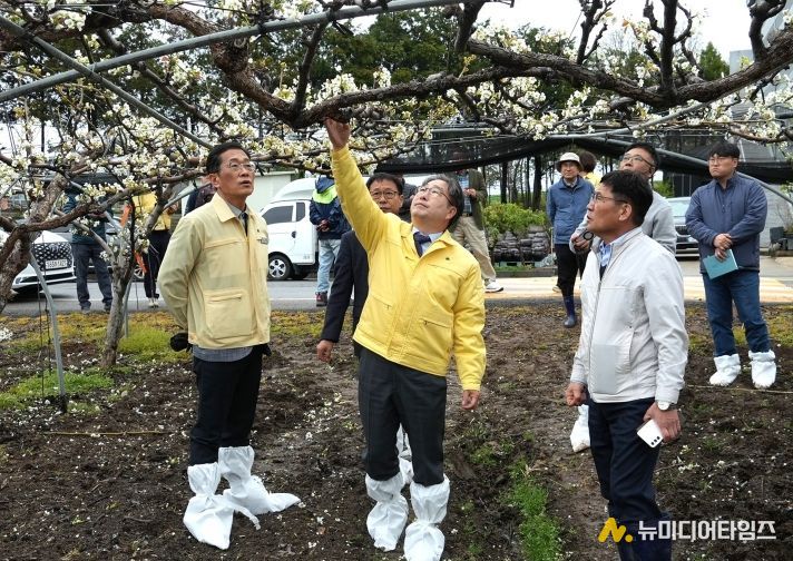 강상구 나주시장 권한대행(가운데)이 지난 6일 우박 피해를 본 노안면의 배 농가를 방문해 피해 상황을 확인하고 농민들의 애로를 청취했다.(사진 제공-나주시)