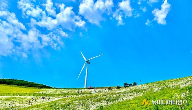 평창군, 청옥산 야생화 생태 단지 개장