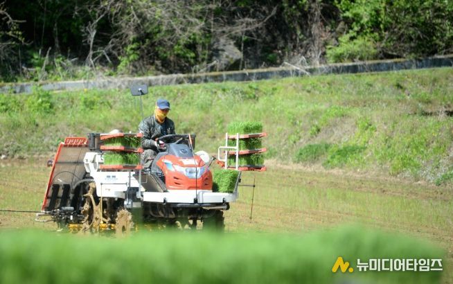 화천군이 지역 농가를 대상으로 농기계 수리 후 발생하는 폐유 수거 사업을 실시한다. 사진은 화천지역에서 이앙기 농기계로 모내기를 하고 있는 모습