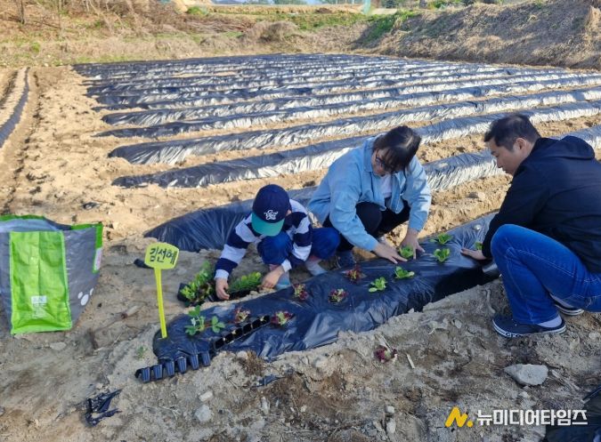 .체험형 주말농장 분양