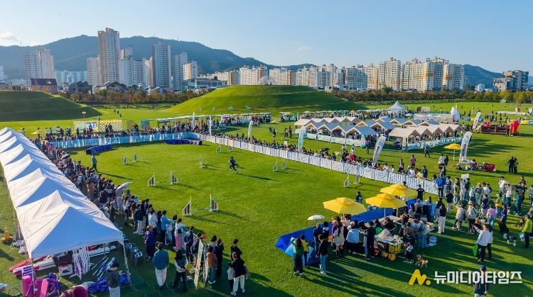 지난해 10월 오천그린광장에서 열린 ‘2025년 반려동물 문화한마당 행사'