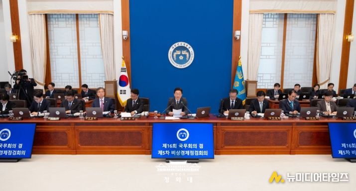 제16회 국무회의 겸 제5차 비상경제점검회의(청와대)