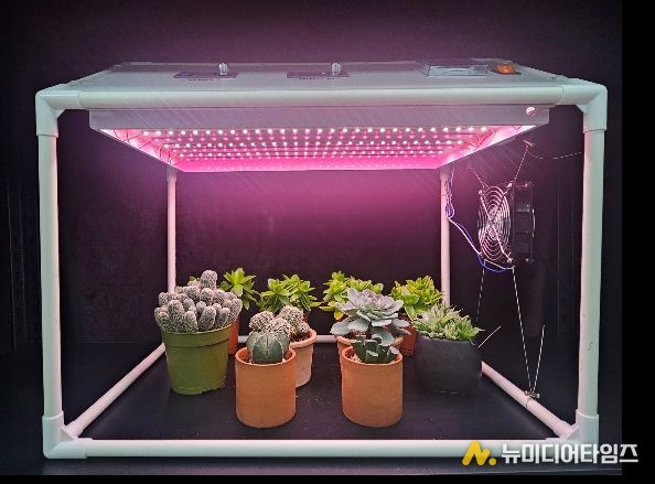 가정용 다육식물 생육상